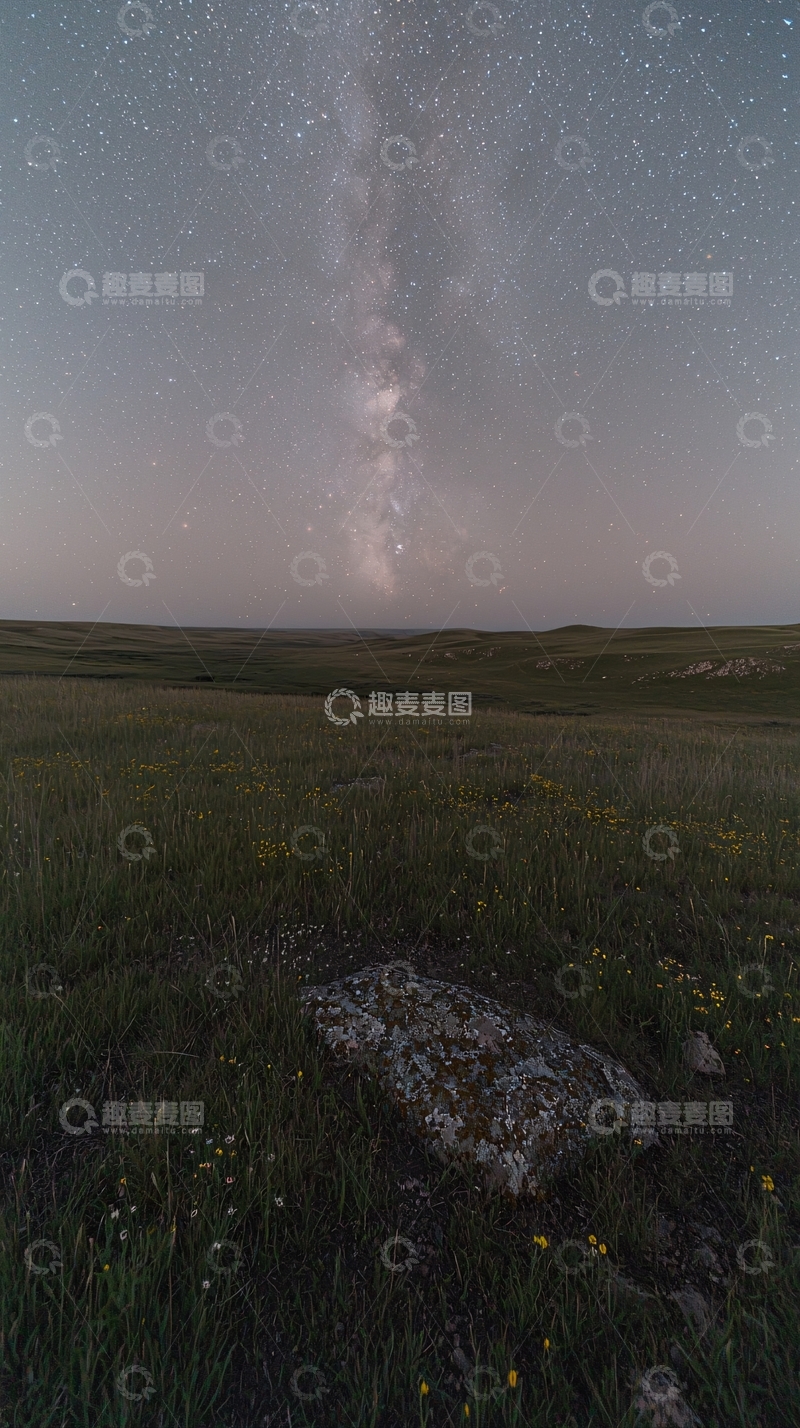 高清大图下载【趣麦麦图】星空下的草原