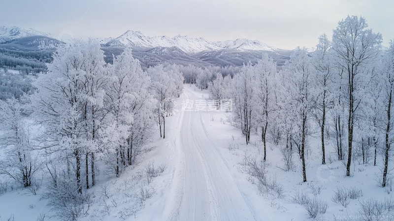 高清大图下载【趣麦麦图】雪覆盖的道路与树木
