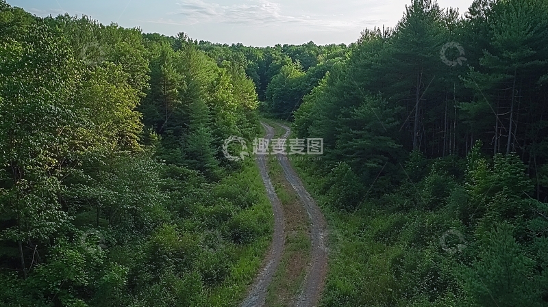 高清大图下载【趣麦麦图】森林中的小路