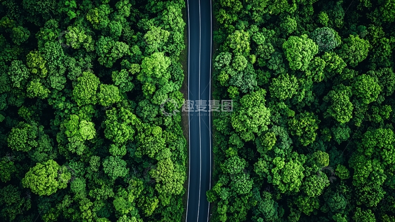 高清大图下载【趣麦麦图】绿色森林中穿过的公路