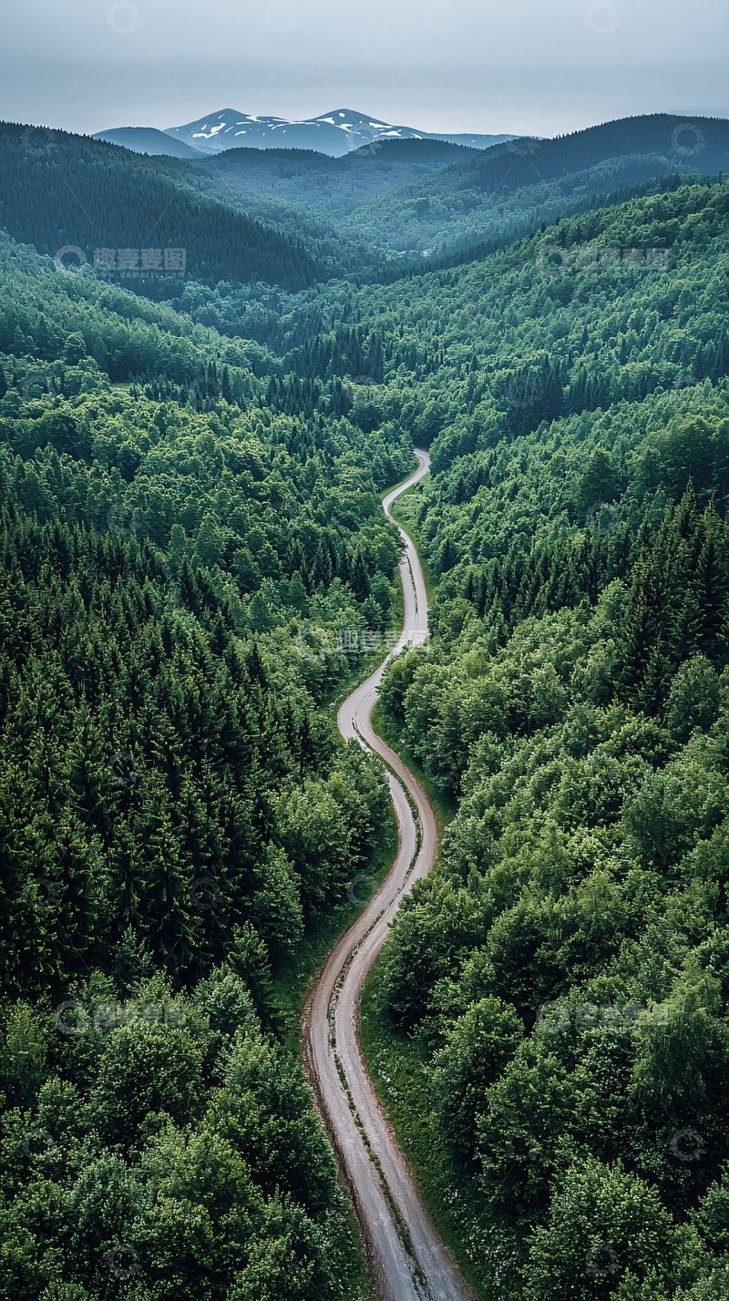 高清大图下载【趣麦麦图】蜿蜒山路穿梭茂密森林