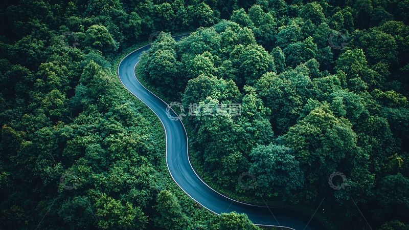 高清大图下载【趣麦麦图】森林中的蜿蜒道路