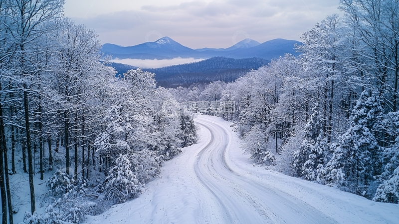 高清大图下载【趣麦麦图】雪覆盖的道路和树木