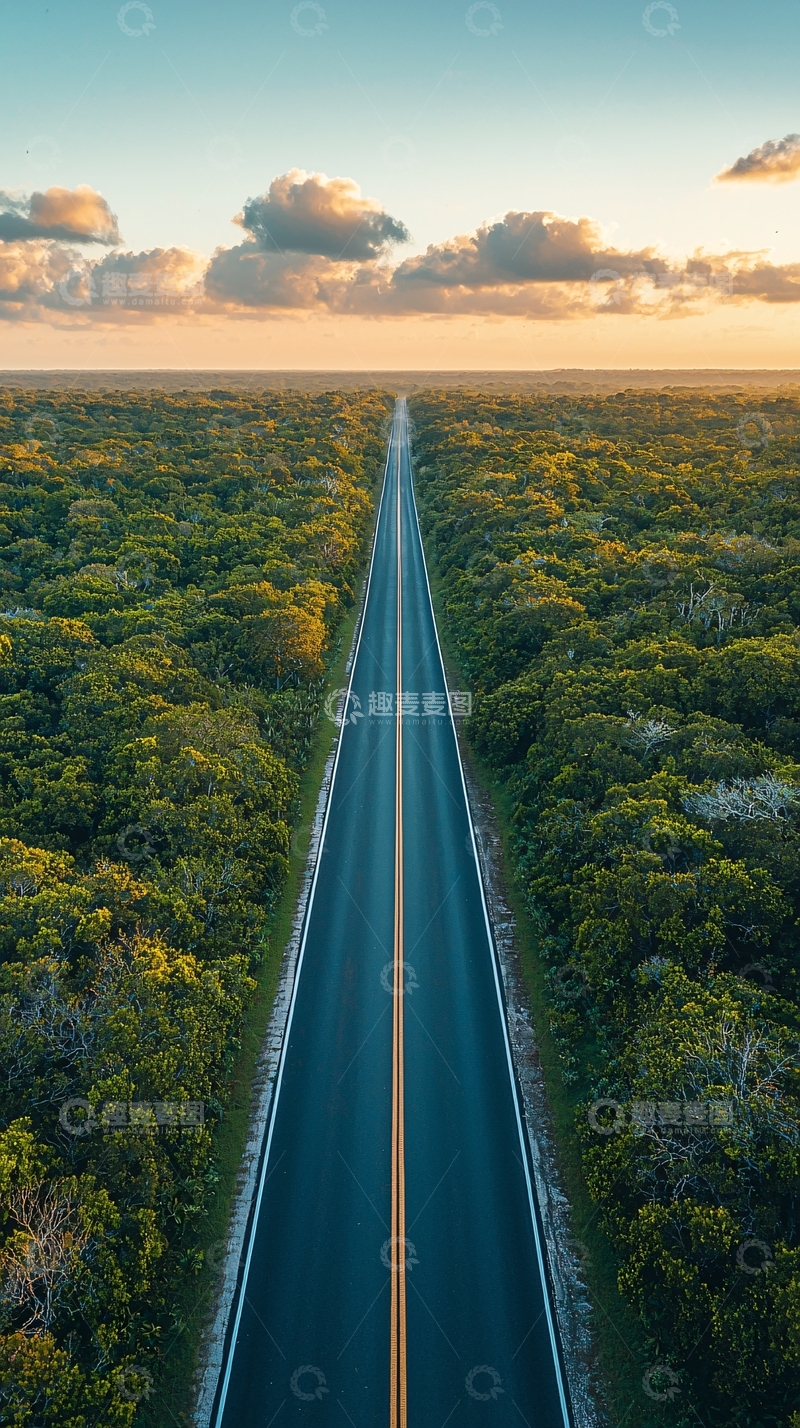 高清大图下载【趣麦麦图】森林公路日落景色