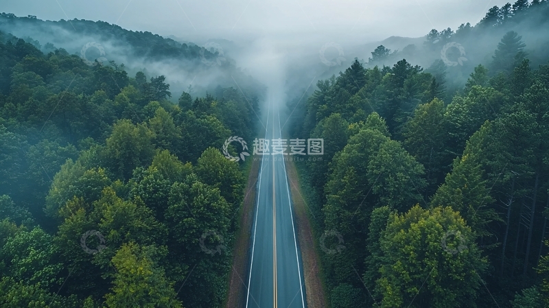 高清大图下载【趣麦麦图】雾气笼罩的森林公路