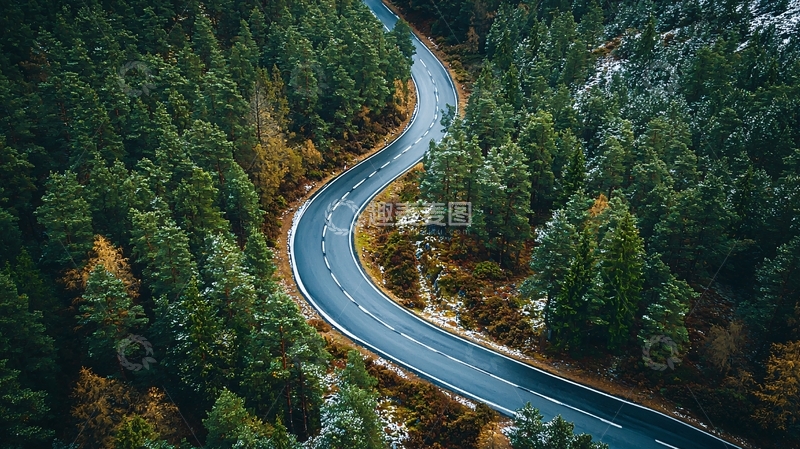 高清大图下载【趣麦麦图】森林中的蜿蜒道路