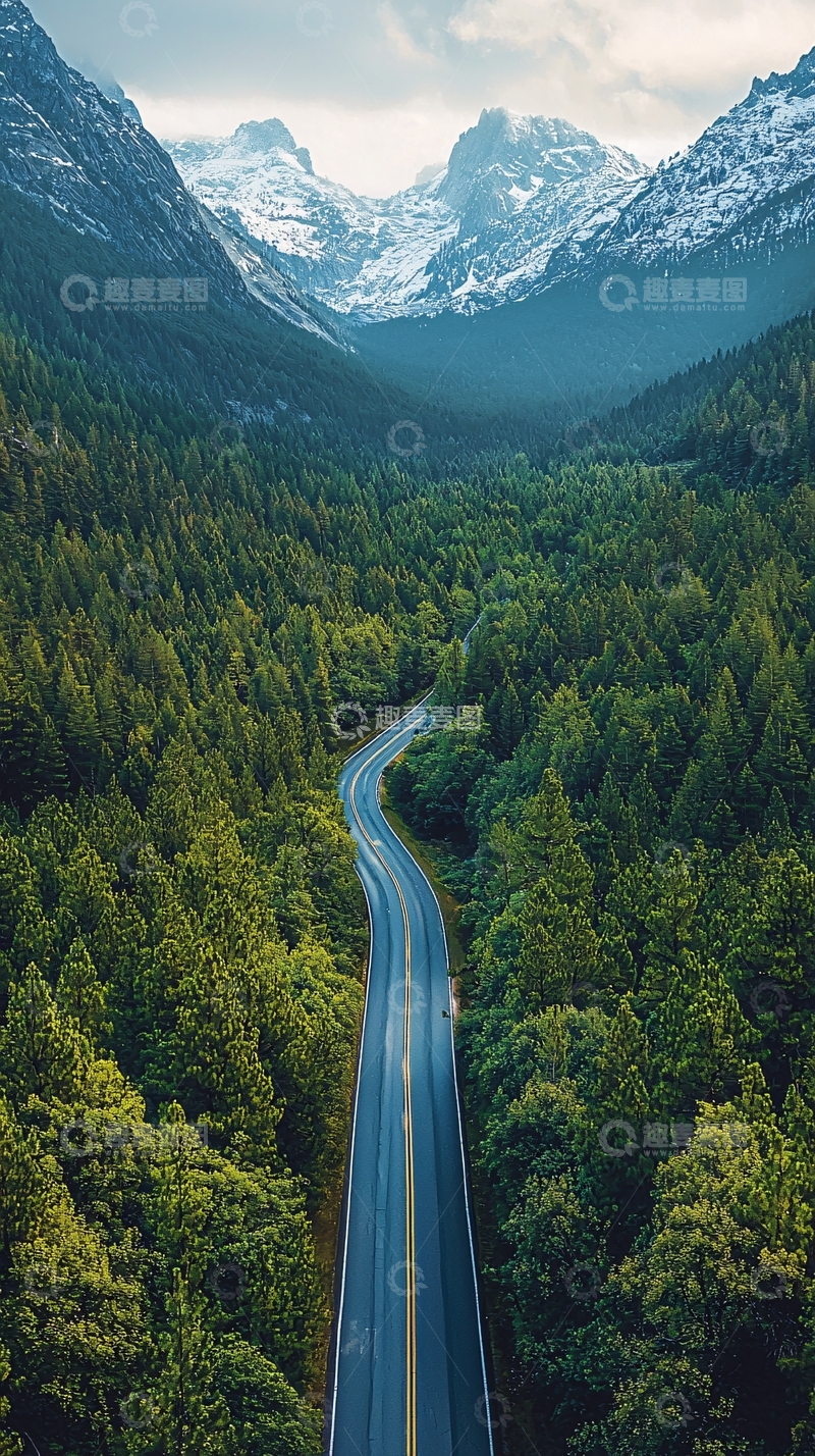 高清大图下载【趣麦麦图】蜿蜒公路穿梭森林