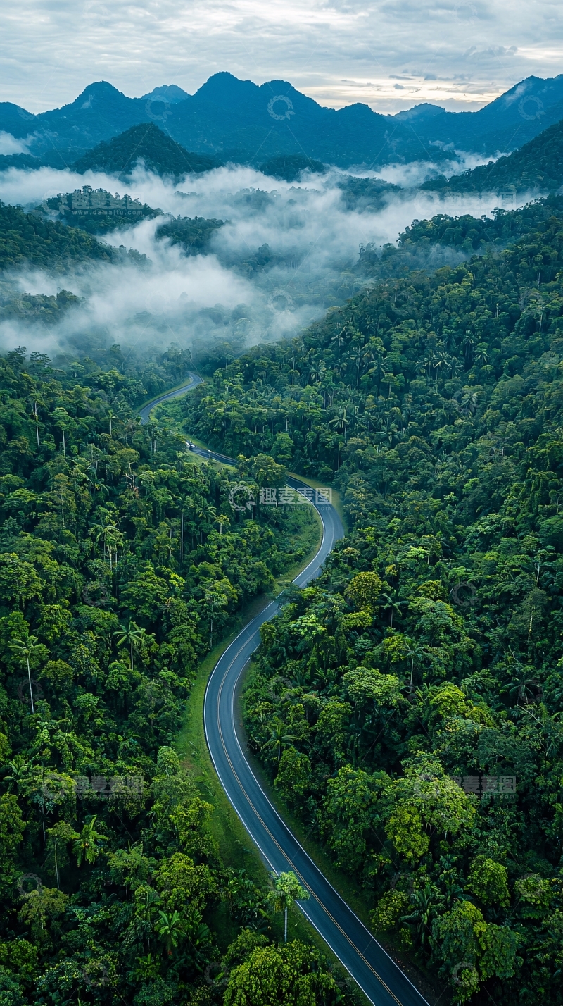 高清大图下载【趣麦麦图】蜿蜒山路穿梭绿色丛林