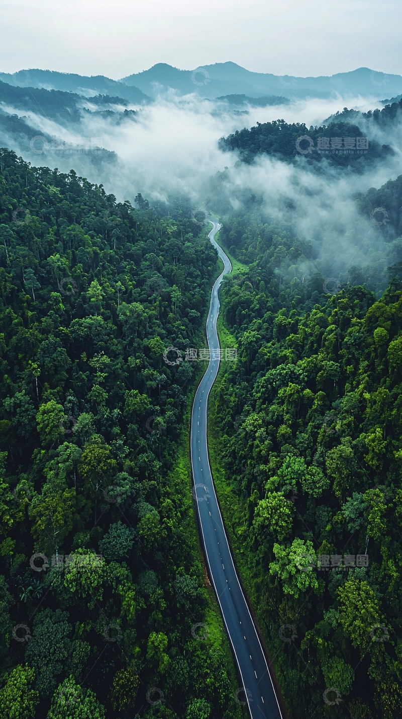 高清大图下载【趣麦麦图】蜿蜒道路穿过森林