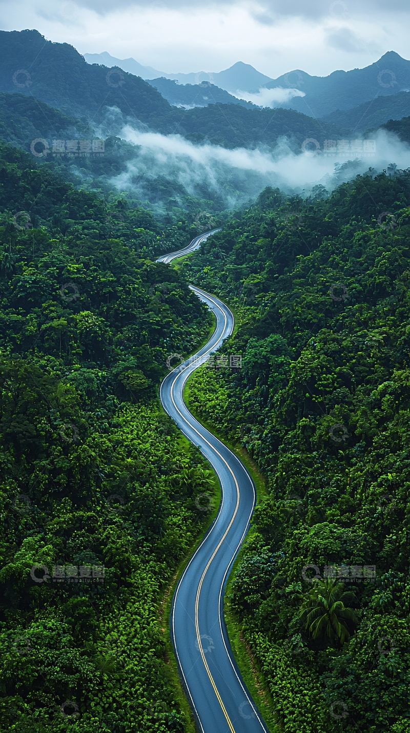 高清大图下载【趣麦麦图】蜿蜒山路雨雾森林