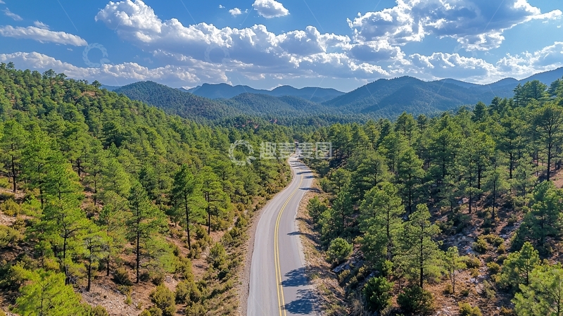 高清大图下载【趣麦麦图】森林公路