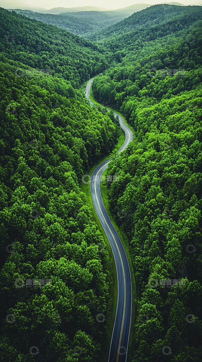 高清大图下载【趣麦麦图】绿树环绕的山间公路
