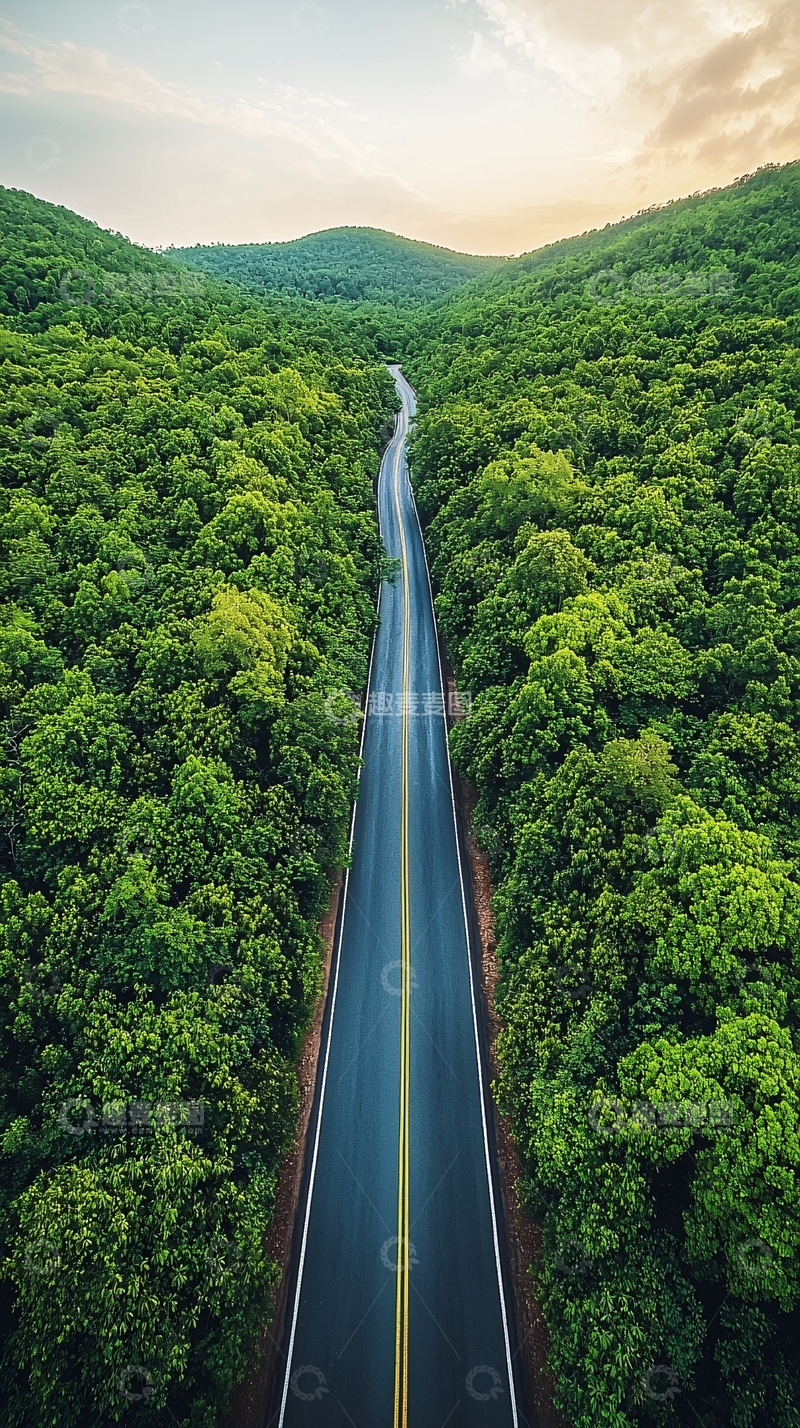高清大图下载【趣麦麦图】绿树成荫的公路延向远方