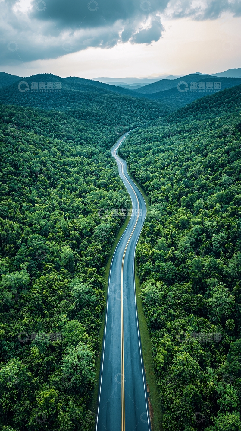高清大图下载【趣麦麦图】蜿蜒公路穿梭绿色森林