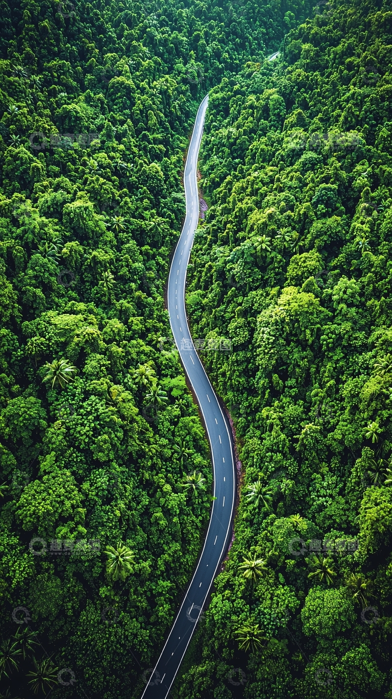高清大图下载【趣麦麦图】绿色公路