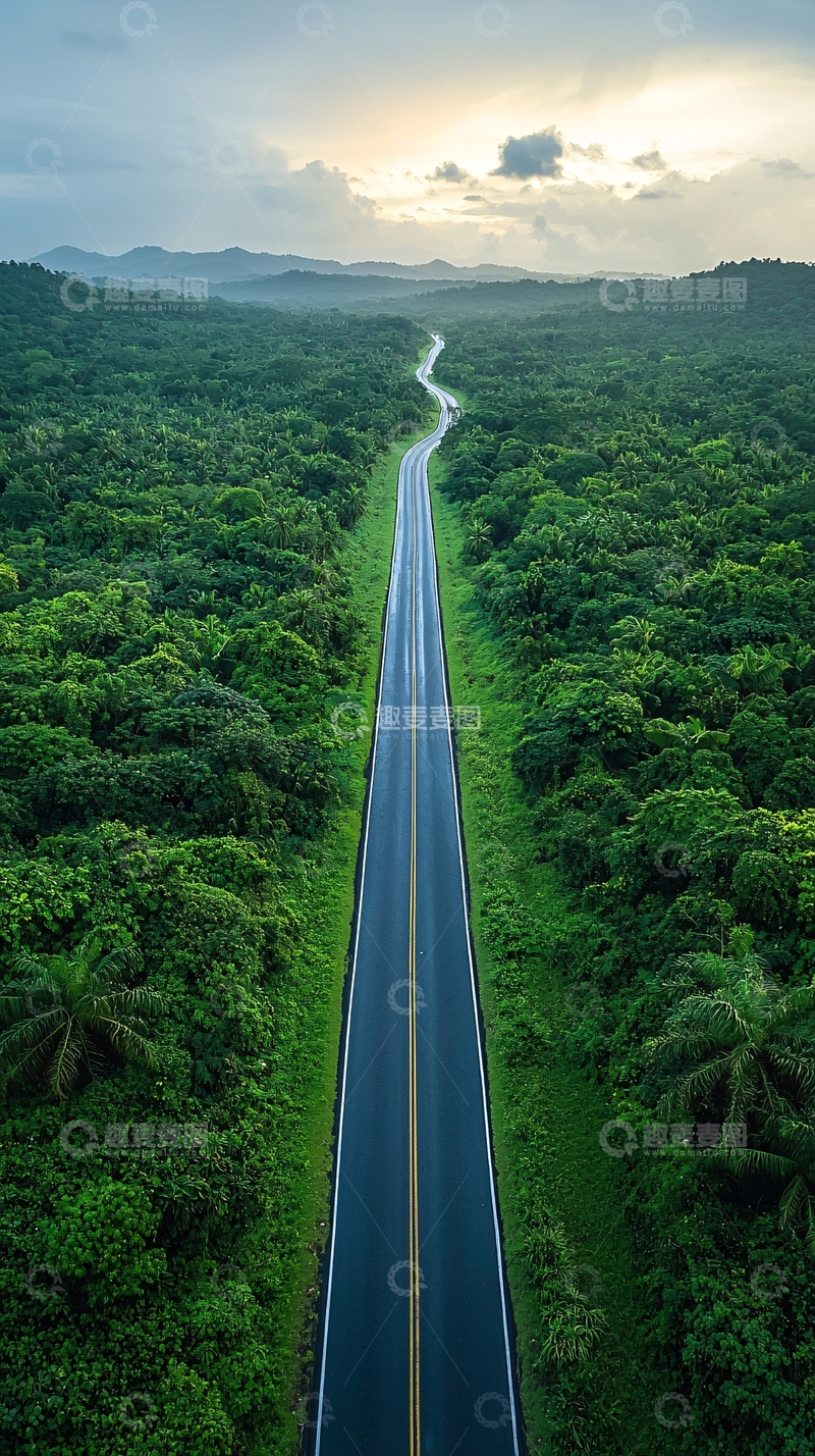 高清大图下载【趣麦麦图】森林中的公路