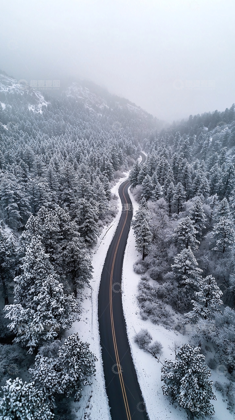 高清大图下载【趣麦麦图】蜿蜒雪路穿梭森林间