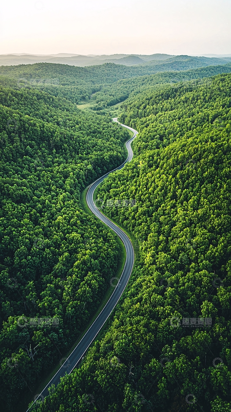 高清大图下载【趣麦麦图】山路蜿蜒穿过绿意盎然的森林