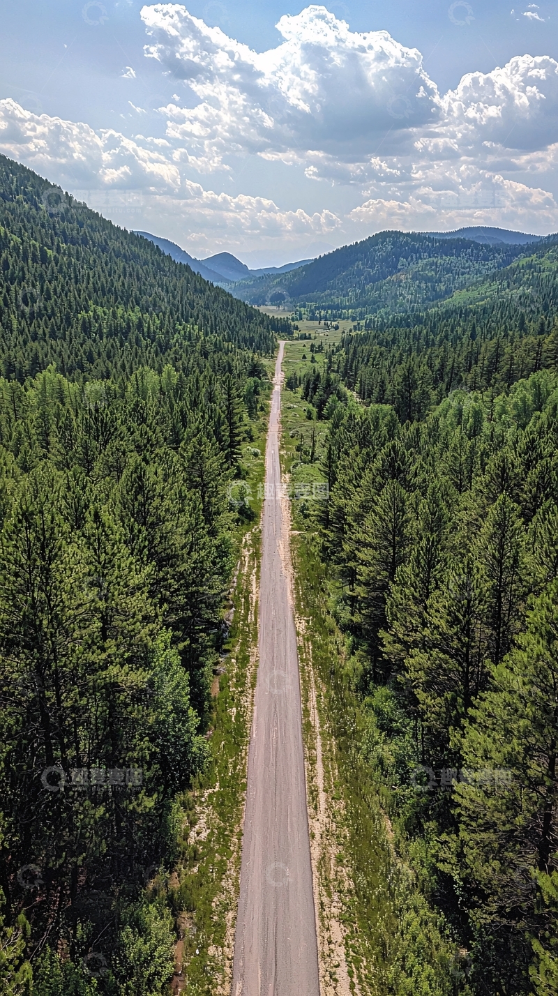 高清大图下载【趣麦麦图】绿色森林中的笔直道路