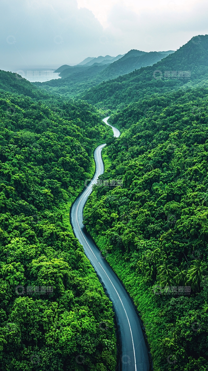高清大图下载【趣麦麦图】蜿蜒山路在绿色森林中