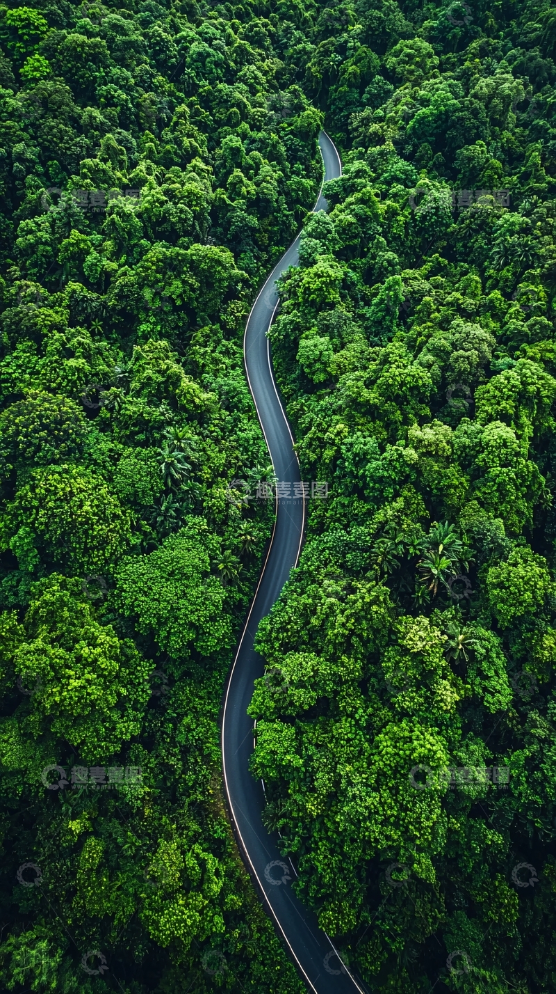 高清大图下载【趣麦麦图】森林公路