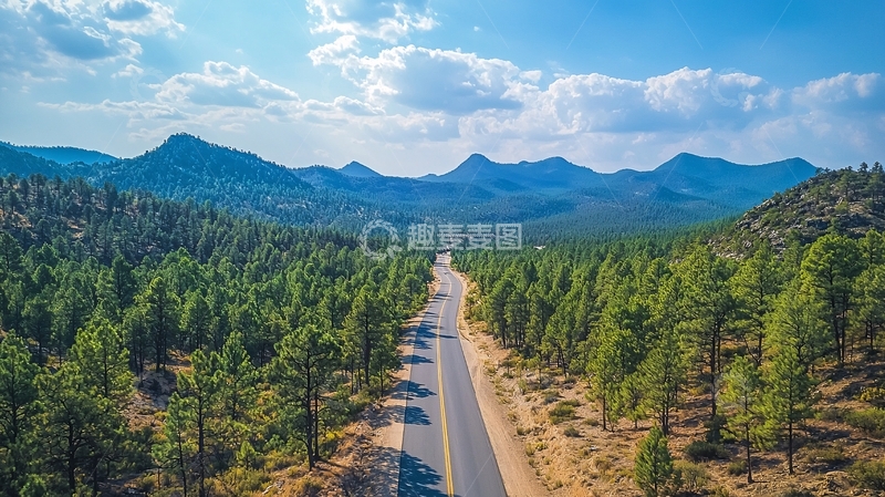 高清大图下载【趣麦麦图】蜿蜒公路穿过森林