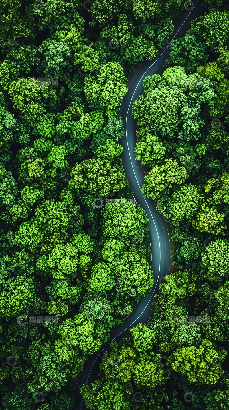 高清大图下载【趣麦麦图】蜿蜒道路穿过绿色森林