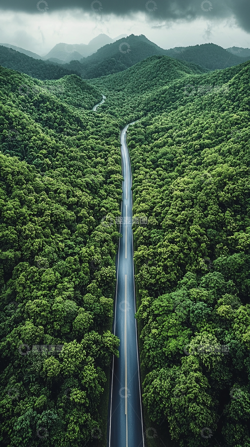 高清大图下载【趣麦麦图】森林中的道路