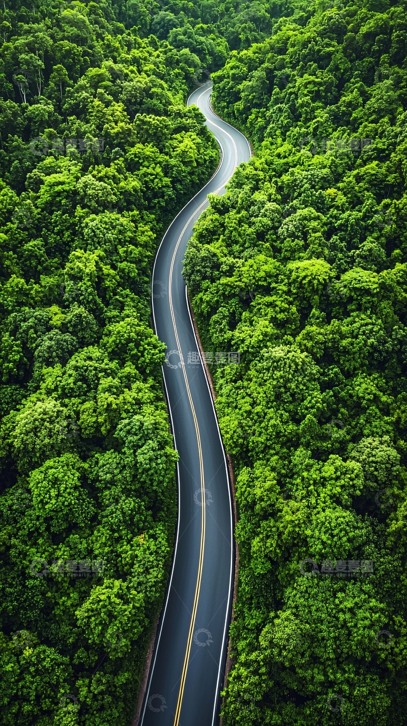 高清大图下载【趣麦麦图】森林中的蜿蜒道路