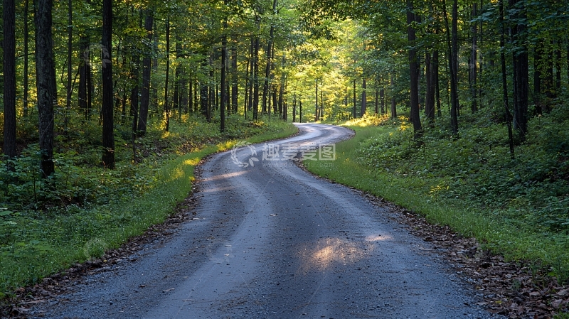 高清大图下载【趣麦麦图】蜿蜒的林间小路