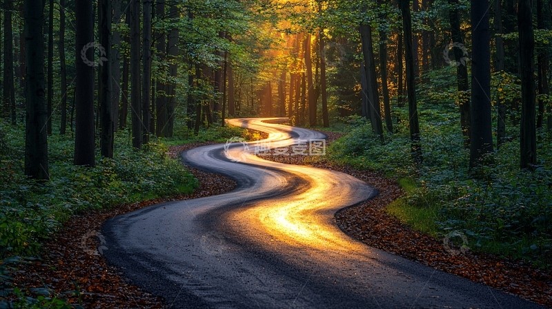 高清大图下载【趣麦麦图】森林小路