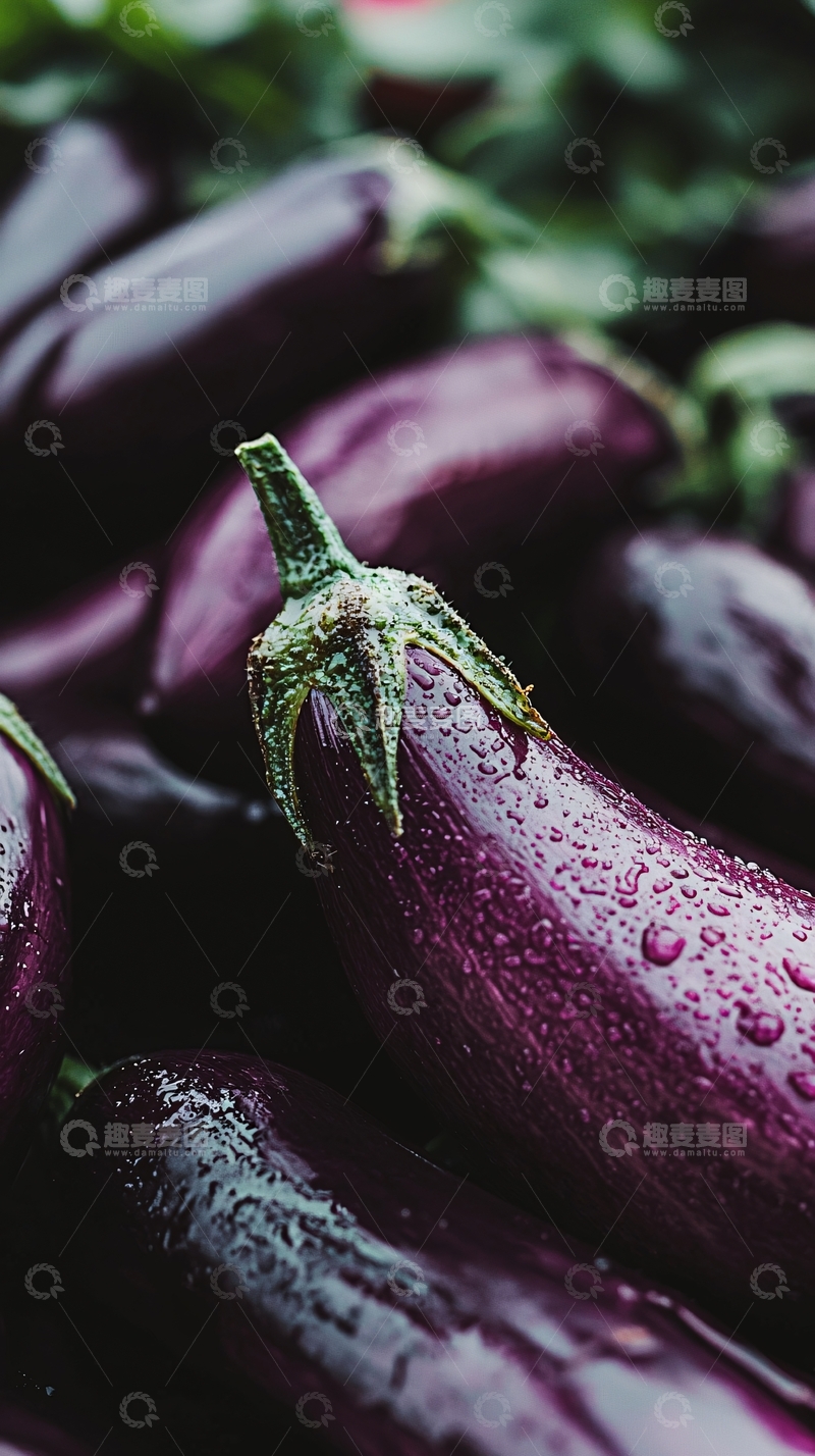 高清大图下载【趣麦麦图】新鲜饱满的紫色茄子