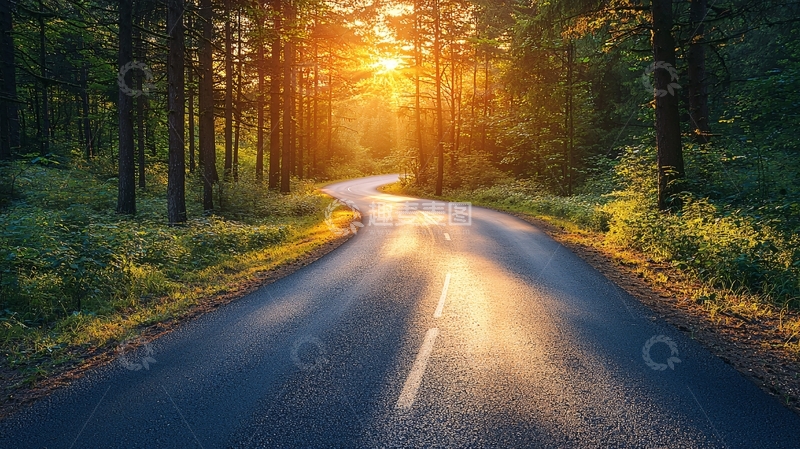 高清大图下载【趣麦麦图】森林公路日出