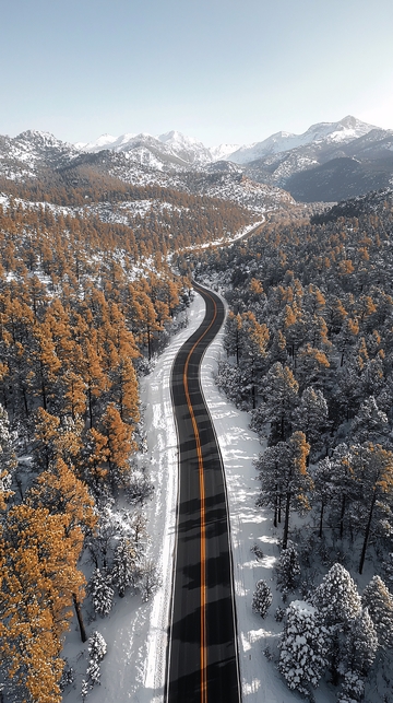 冬季森林公路鸟瞰图