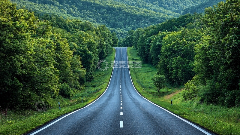 高清大图下载【趣麦麦图】森林中的笔直公路