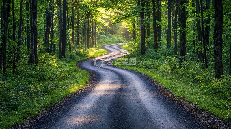 高清大图下载【趣麦麦图】森林小路