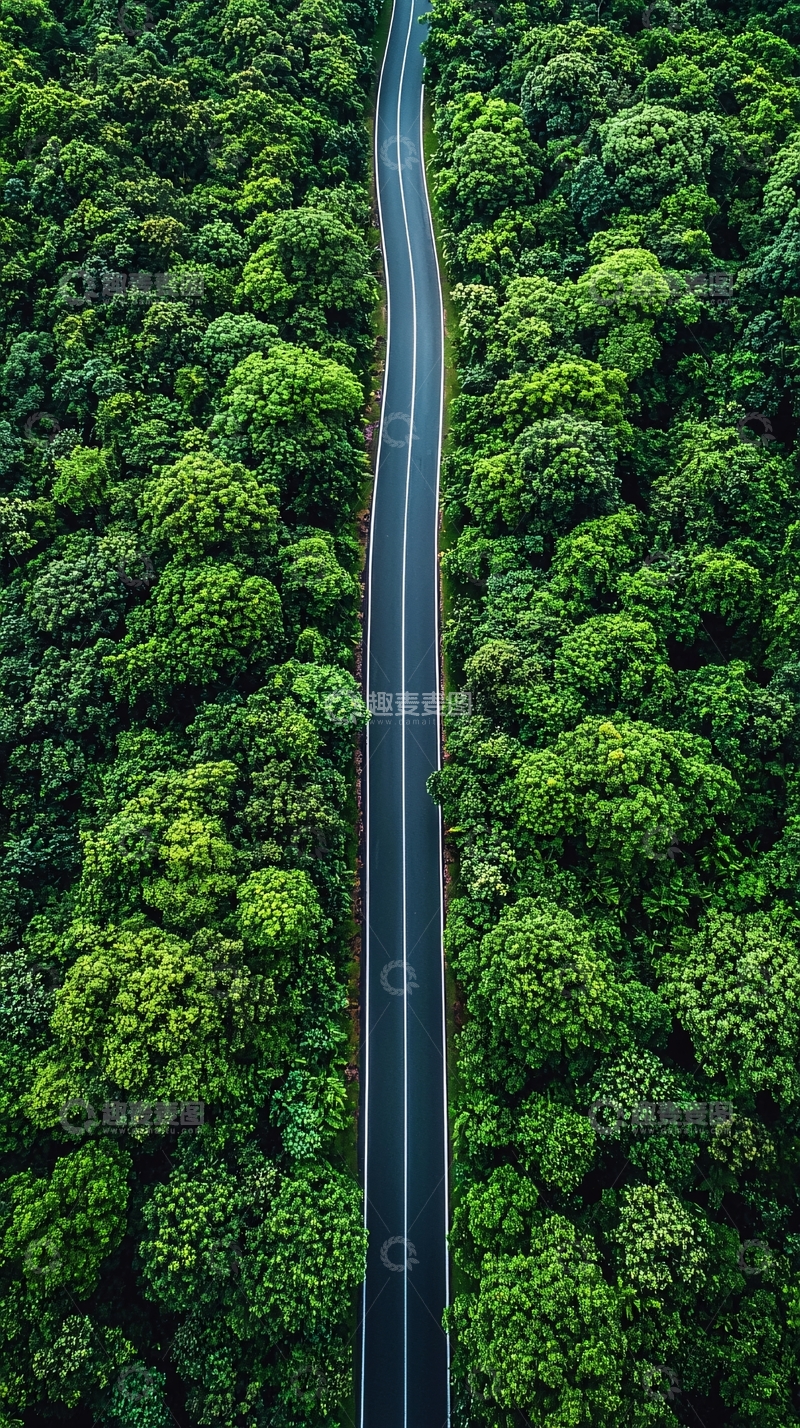 高清大图下载【趣麦麦图】森林中的蜿蜒道路