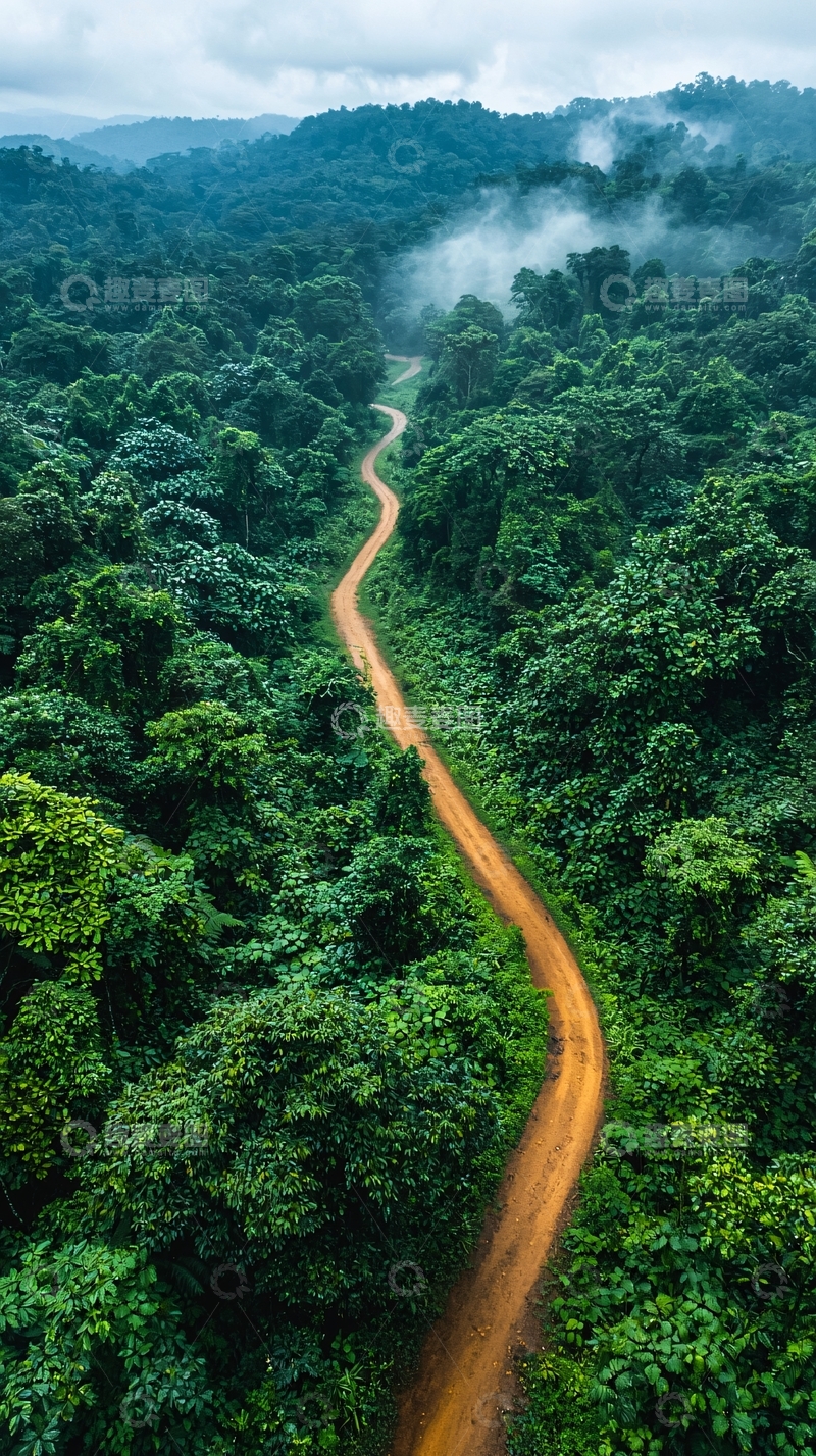 高清大图下载【趣麦麦图】蜿蜒丛林土路