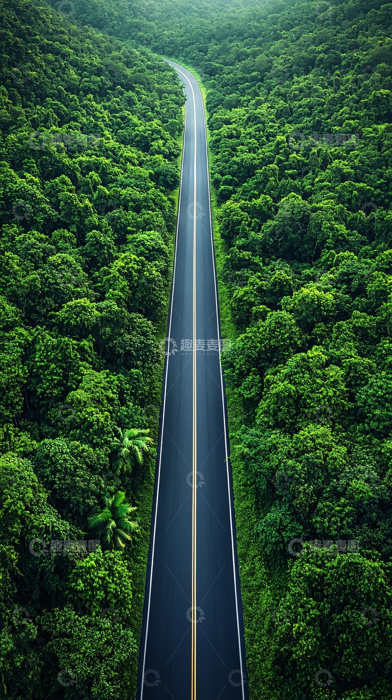 高清大图下载【趣麦麦图】森林中的公路