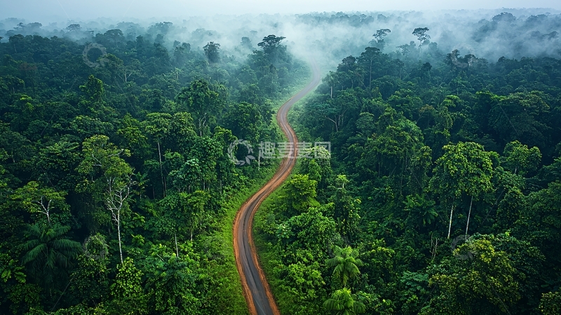 高清大图下载【趣麦麦图】热带雨林中的蜿蜒道路