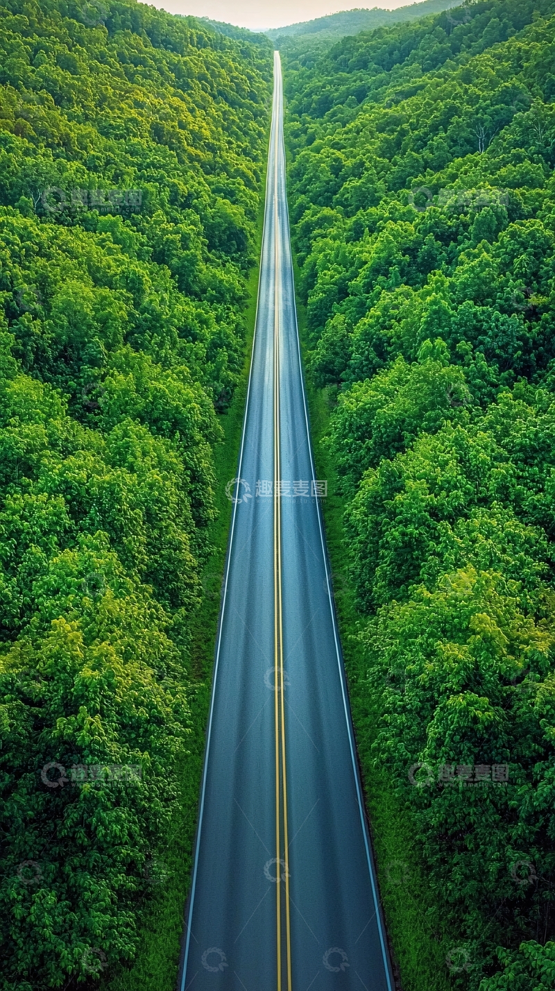高清大图下载【趣麦麦图】绿树环绕的笔直公路