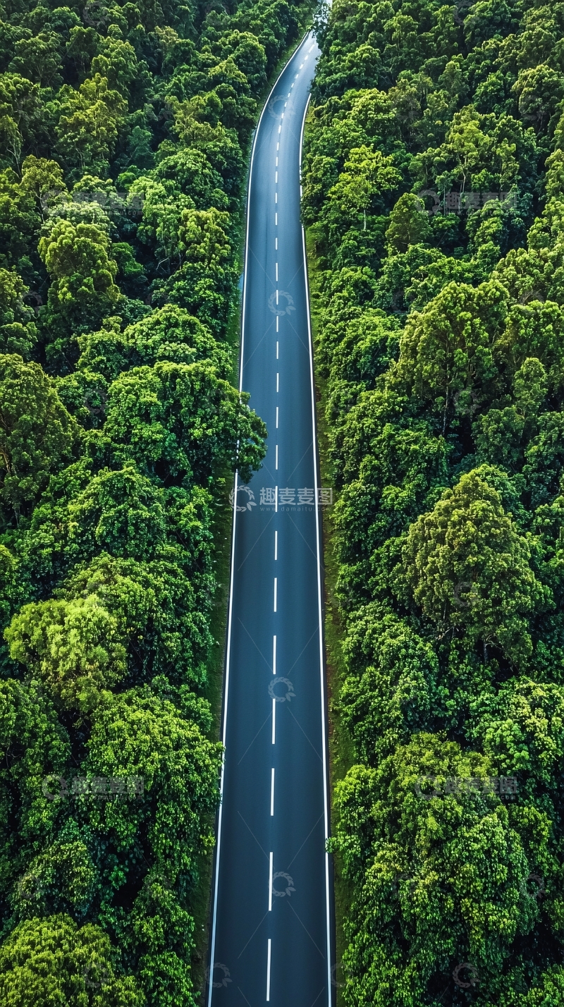 高清大图下载【趣麦麦图】森林公路