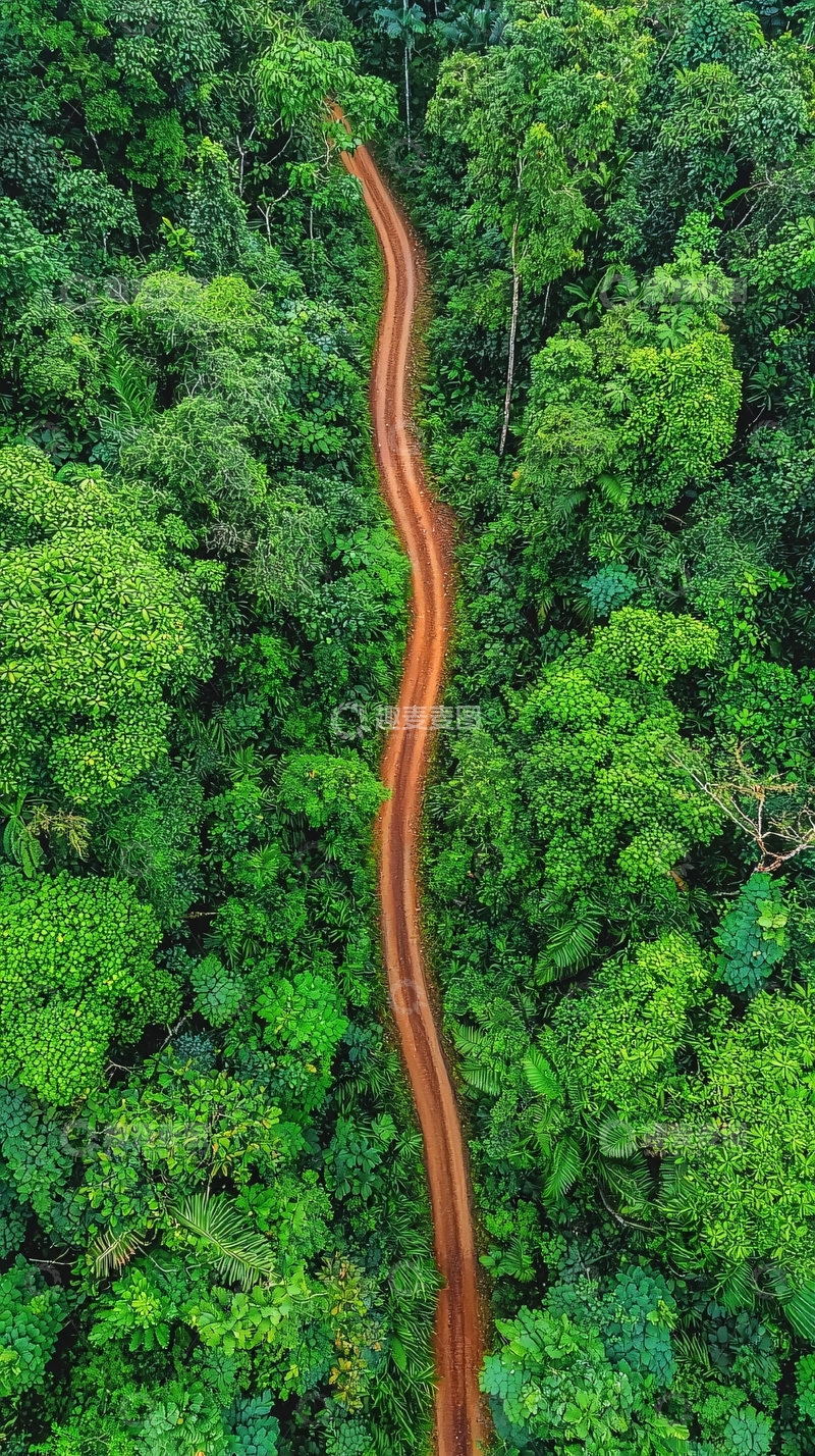 高清大图下载【趣麦麦图】蜿蜒小路穿过茂密森林