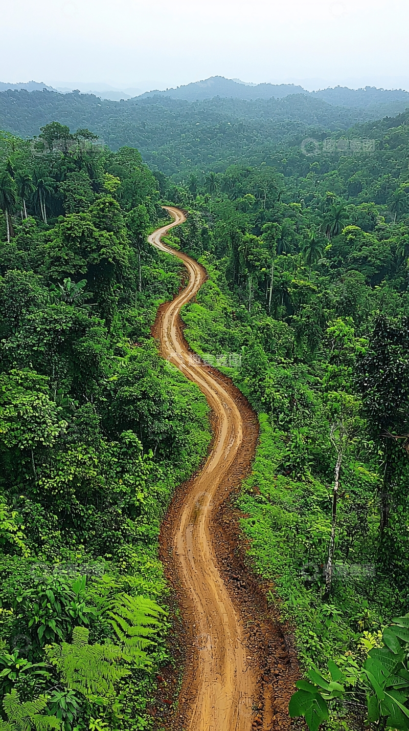 高清大图下载【趣麦麦图】蜿蜒的土路穿过森林
