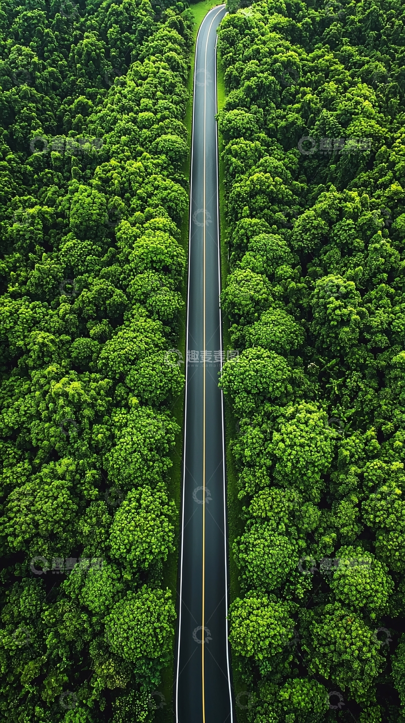 高清大图下载【趣麦麦图】森林公路