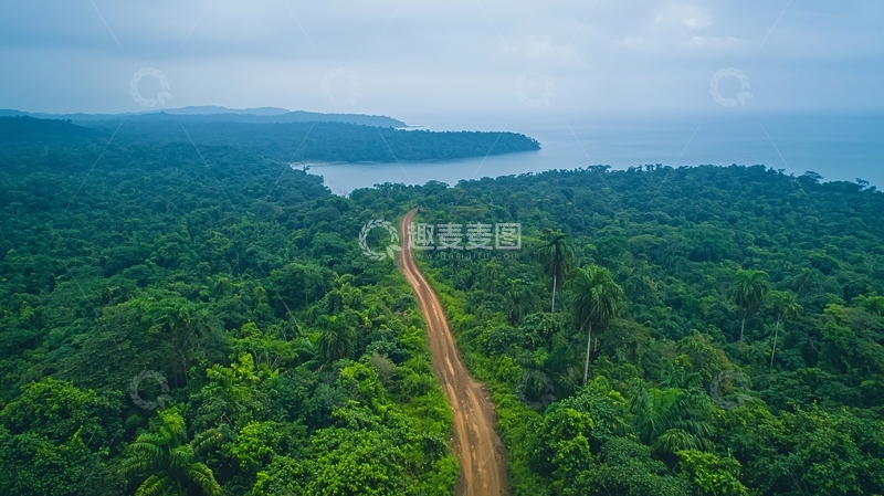 高清大图下载【趣麦麦图】热带雨林中的道路