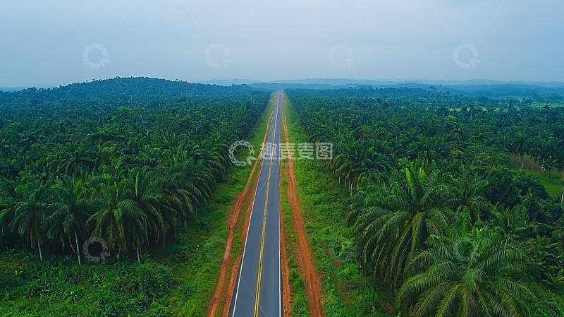 高清大图下载【趣麦麦图】公路穿过茂密的森林