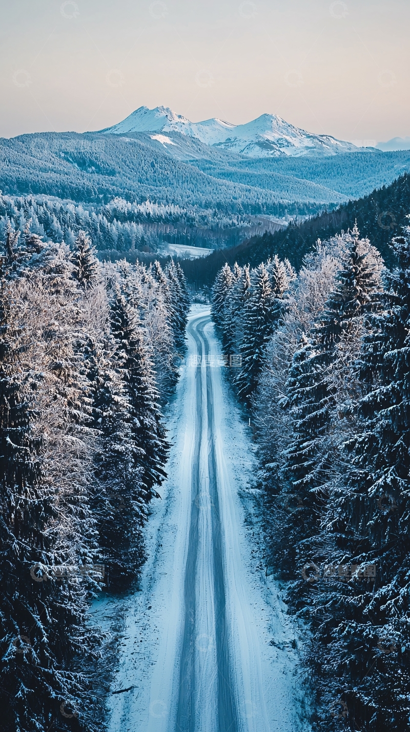高清大图下载【趣麦麦图】雪覆盖的森林道路