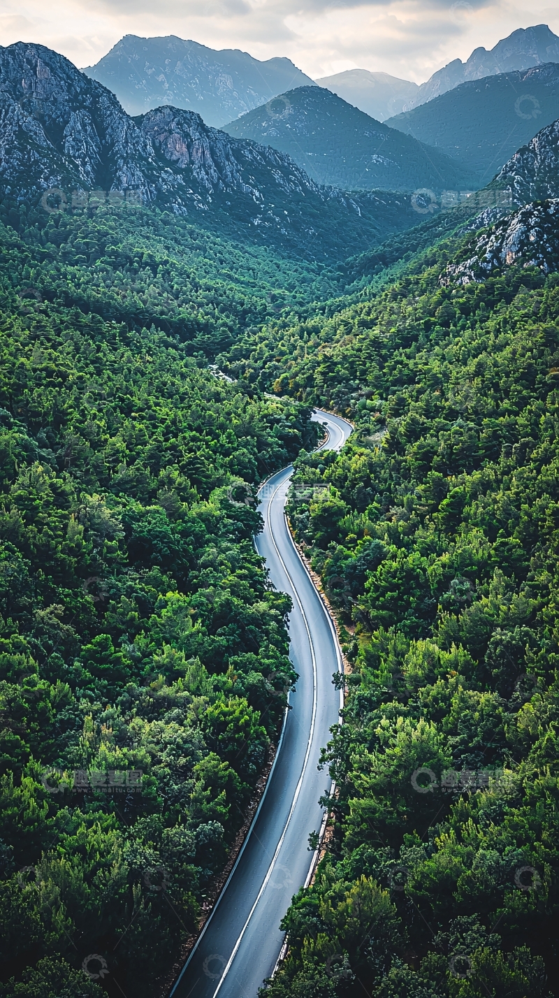 高清大图下载【趣麦麦图】森林中的蜿蜒道路