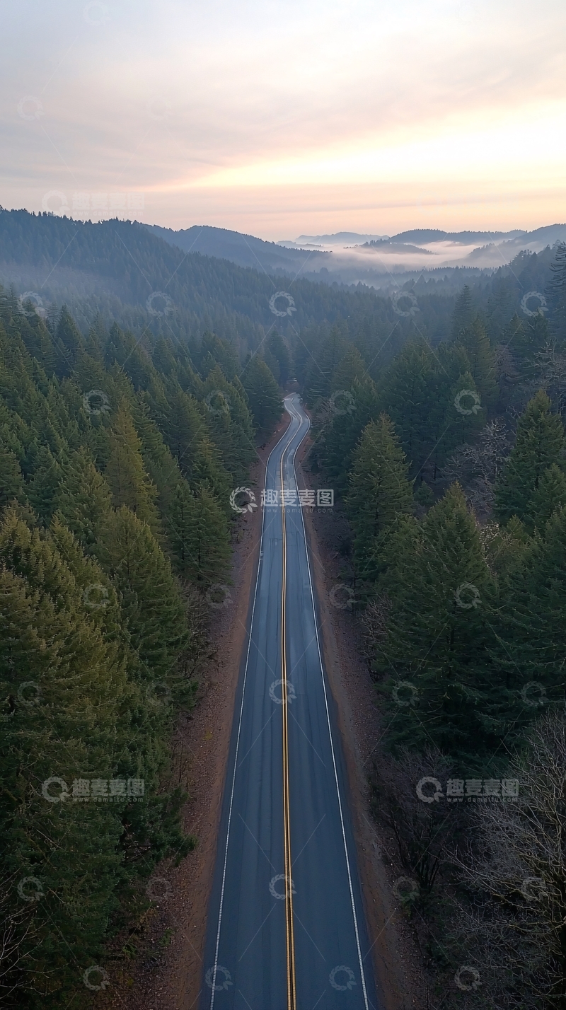 高清大图下载【趣麦麦图】森林公路蜿蜒通向远方